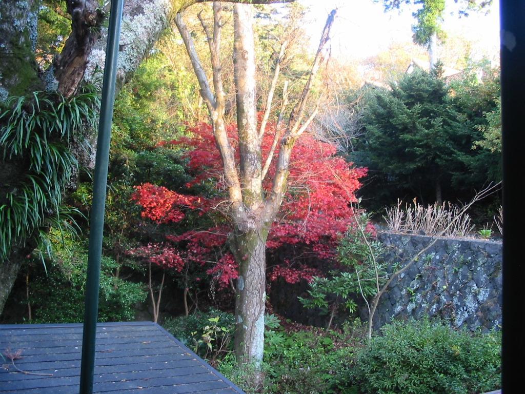 Pension Nova Atami (Shizuoka) Exterior photo